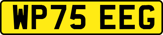 WP75EEG