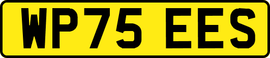 WP75EES