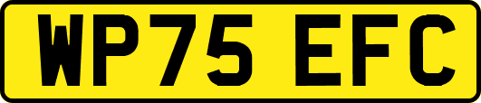 WP75EFC