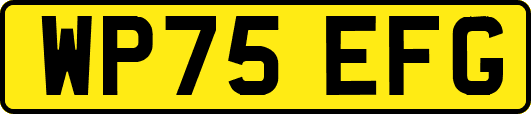 WP75EFG
