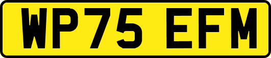 WP75EFM