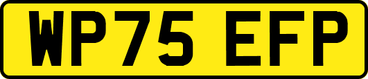 WP75EFP
