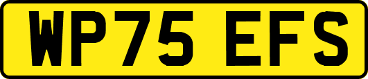 WP75EFS
