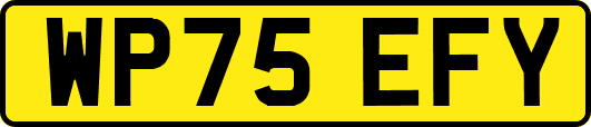 WP75EFY