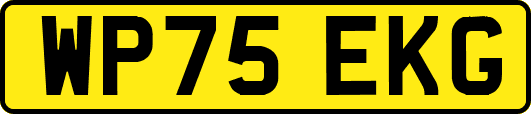 WP75EKG