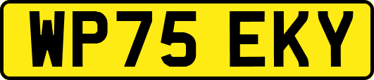 WP75EKY