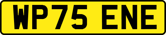 WP75ENE