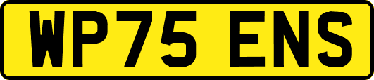 WP75ENS