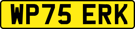 WP75ERK