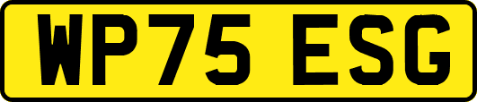 WP75ESG