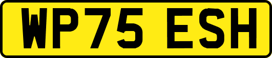 WP75ESH