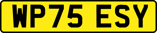 WP75ESY