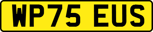 WP75EUS