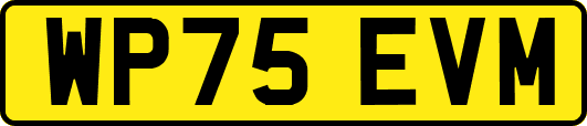 WP75EVM