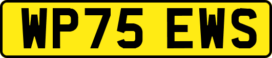 WP75EWS