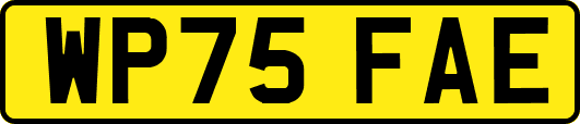 WP75FAE