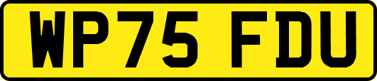 WP75FDU