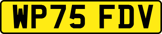 WP75FDV