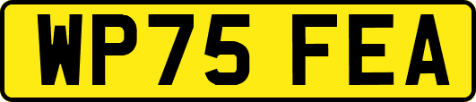 WP75FEA