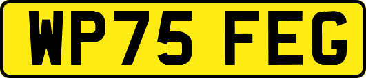 WP75FEG
