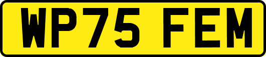 WP75FEM