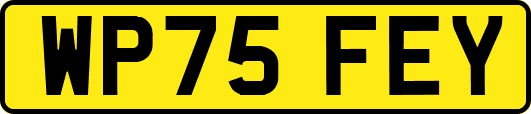 WP75FEY