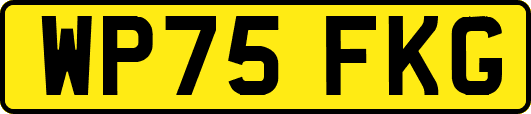 WP75FKG