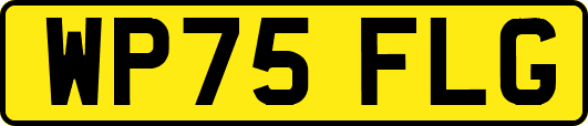WP75FLG