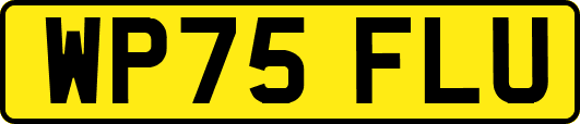 WP75FLU