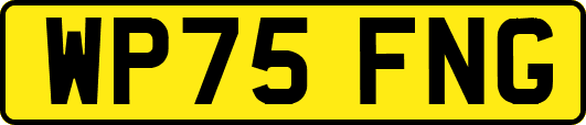 WP75FNG