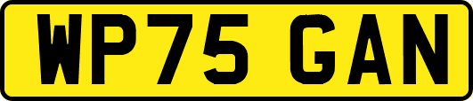 WP75GAN