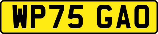 WP75GAO