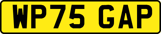 WP75GAP