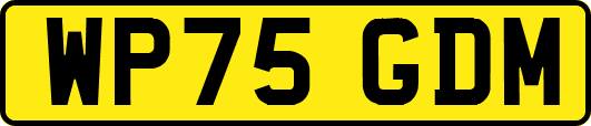 WP75GDM