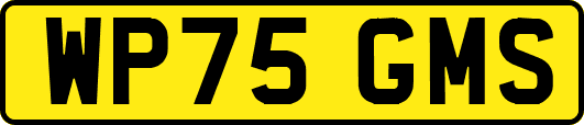 WP75GMS