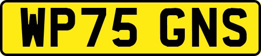 WP75GNS