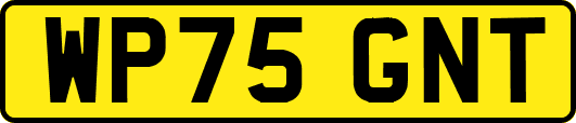 WP75GNT