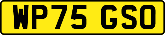 WP75GSO