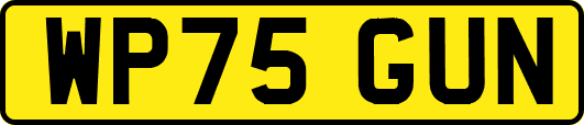WP75GUN