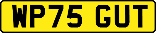 WP75GUT