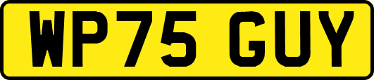 WP75GUY