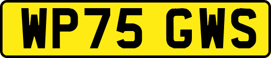 WP75GWS