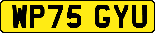 WP75GYU