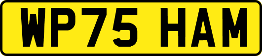 WP75HAM