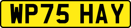 WP75HAY