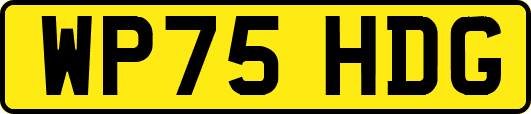 WP75HDG