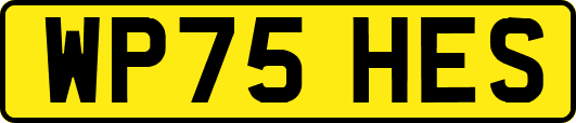 WP75HES