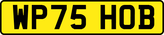 WP75HOB