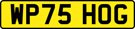 WP75HOG