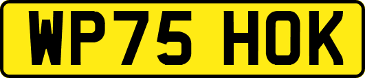 WP75HOK